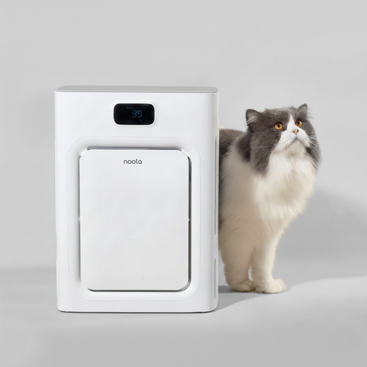 Pet air purifier